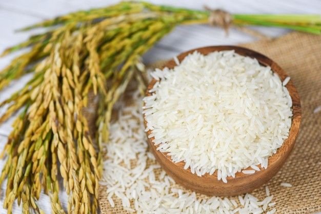 “Millets vs Rice & Wheat: Which Grain Is Healthier?”